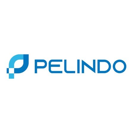 PT. PELINDO Regional IV Cabang Ambon